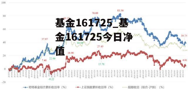 揭秘深度解析，160633基金最新净值表现概览