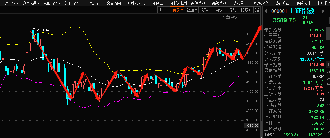 科技引领未来投资之路，股票当日行情概览