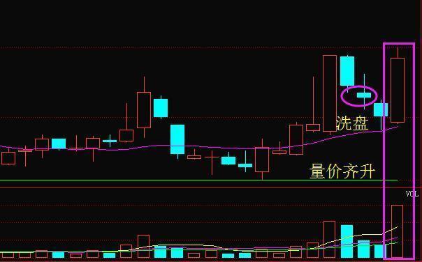 三肖三期必出特马,专家解说解释定义_怀旧版95.571