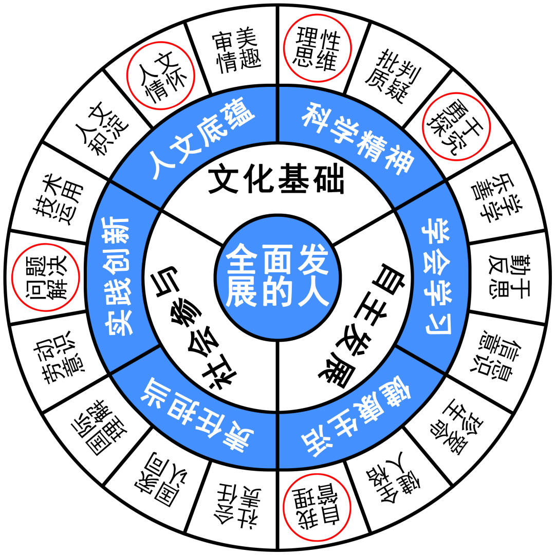 六和彩资料有哪些网址可以看,快速实施解答研究_体育版38.972